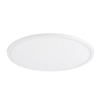 Mordern Surface Mounted LED Panel lamp in white ,chorme,nickel for Indoor. 350cm/420cm ,20W /30W